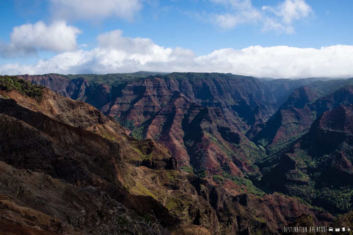 Une mémorable randonnée dans le Grand Canyon du Pacifique à Hawaii