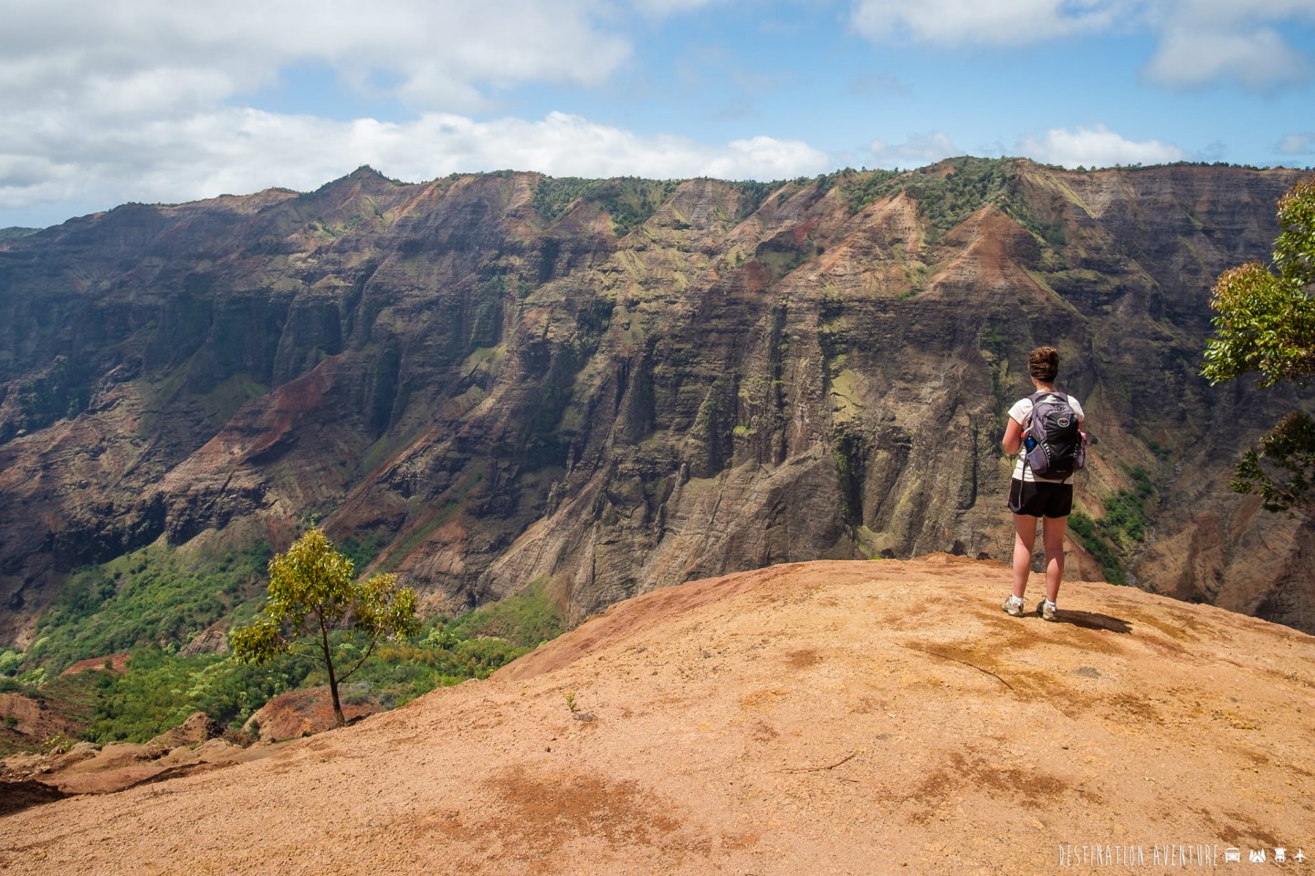 Une mémorable randonnée dans le Grand Canyon du Pacifique à Hawaii