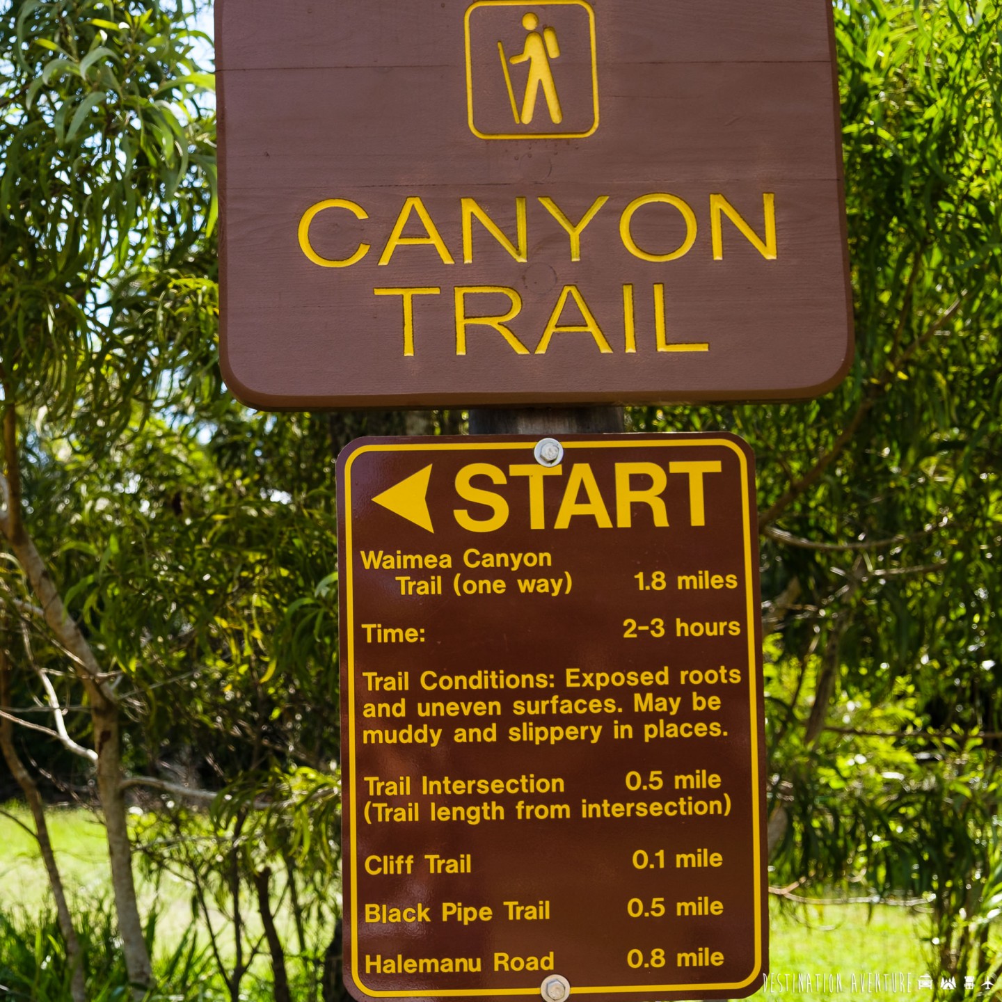 Une mémorable randonnée dans le Grand Canyon du Pacifique à Hawaii