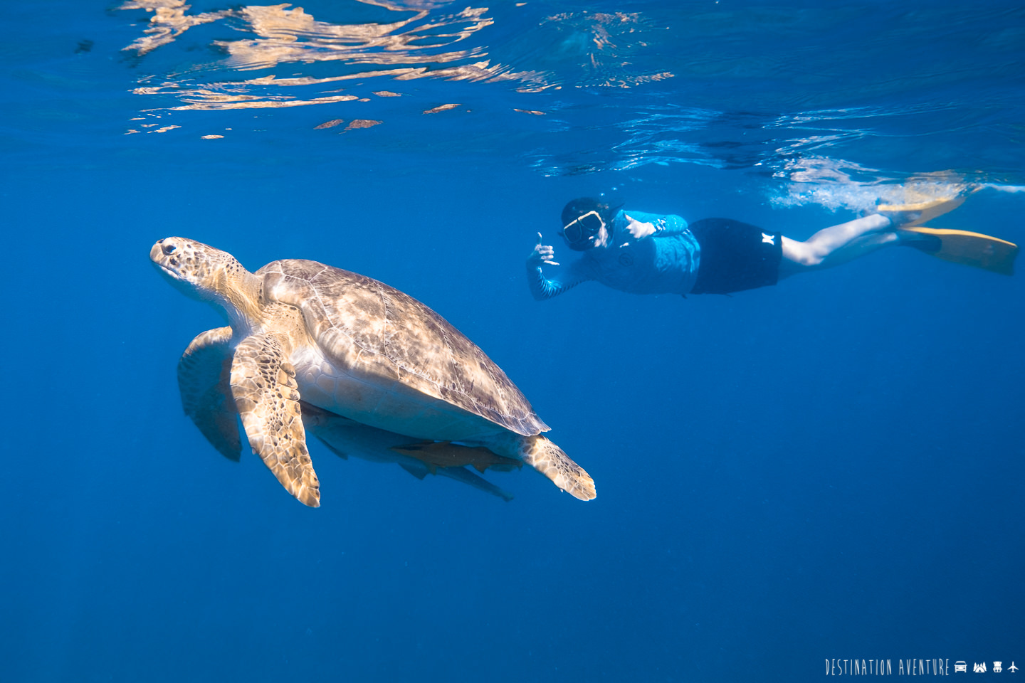 Boat trip around St. Maarten to discover beaches and paradisiacal islands