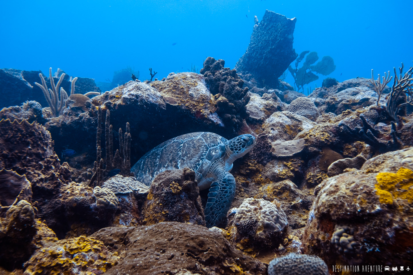 L'ile de Saba, un joyau méconnu des Caraïbes