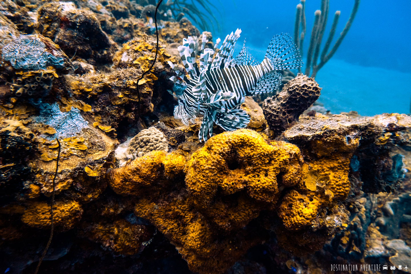 L'ile de Saba, un joyau méconnu des Caraïbes