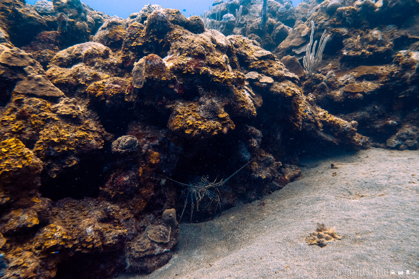 L'ile de Saba, un joyau méconnu des Caraïbes